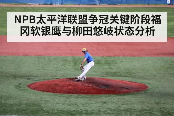 baseball pitcher throwing mound